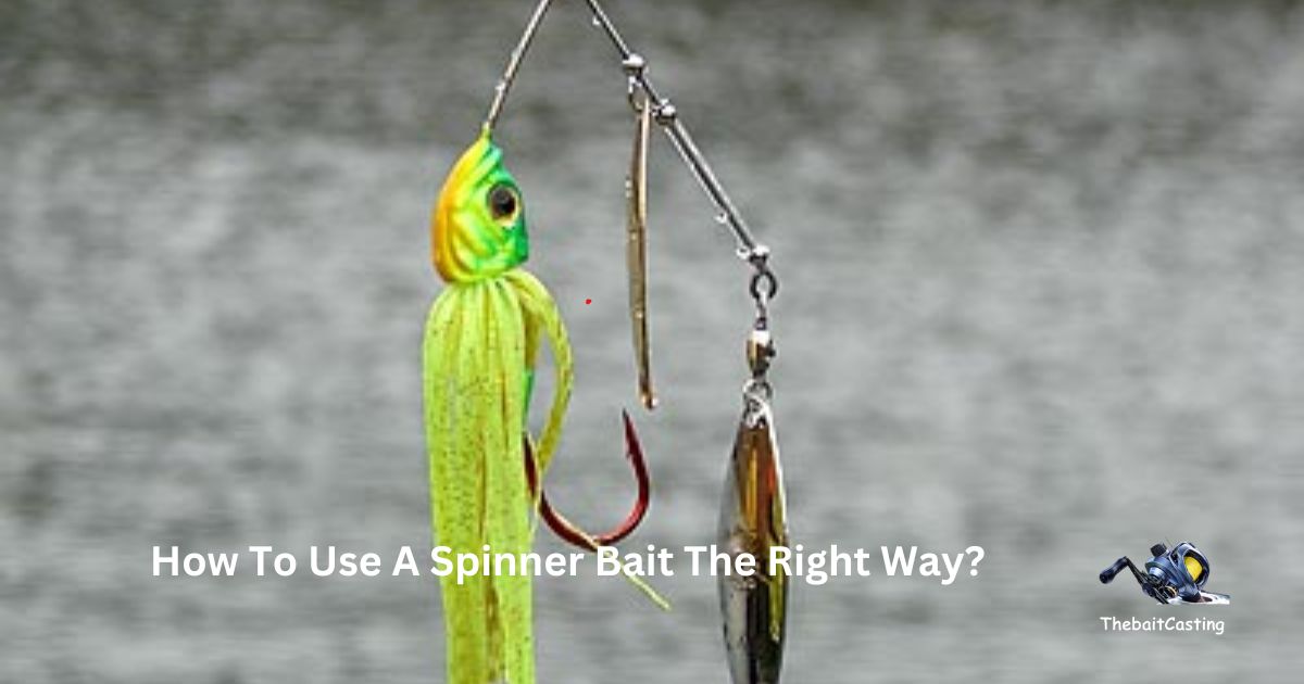 How To Use A Spinner Bait The Right Way?