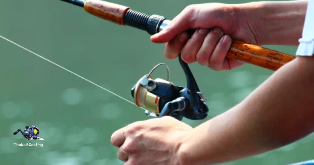 What Is A Spinning Rod?