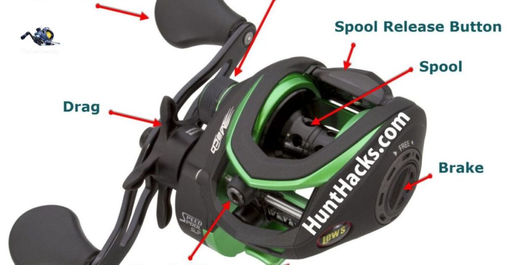 Anatomy Of A Bait Casting Reel