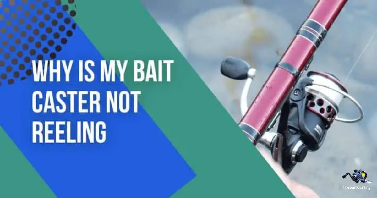 Why Is My Bait Caster Not Reeling?